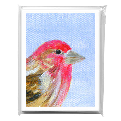 Cassin's Finch, Greeting Card (8323C)