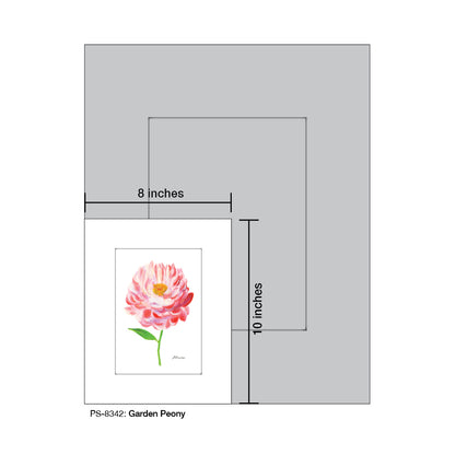 Garden Peony, Print (#8342)