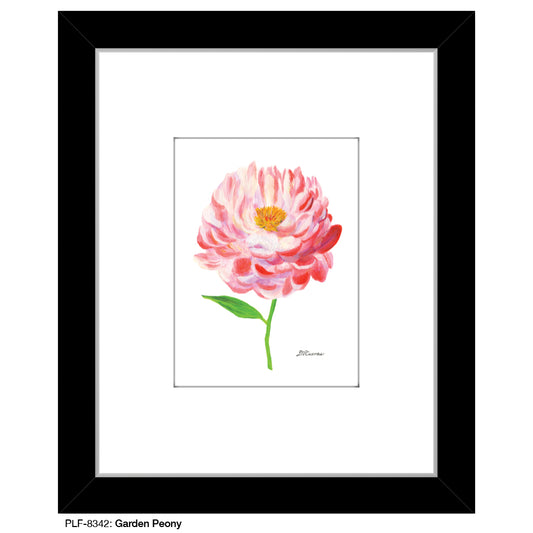 Garden Peony, Print (#8342)