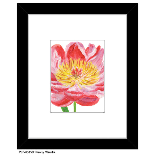 Peony Claudia, Print (#8345B)