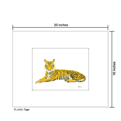 Tiger, Print (#8365)