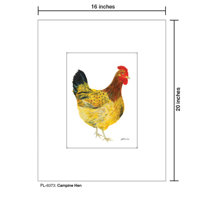 Campine Hen, Print (#8373)