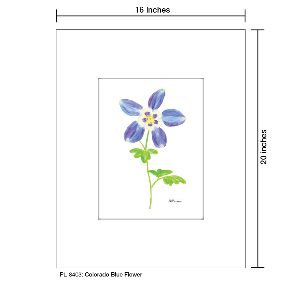 Colorado Blue Flower, Print (#8403)