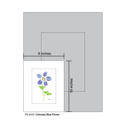 Colorado Blue Flower, Print (#8403)