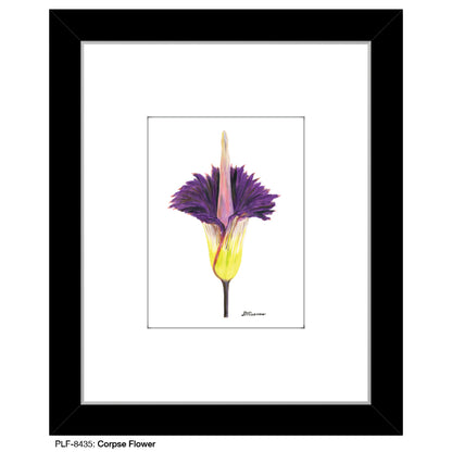 Corpse Flower, Print (#8435)