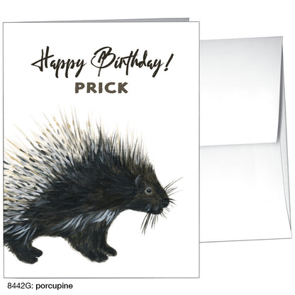 Porcupine, Greeting Card (8442G)