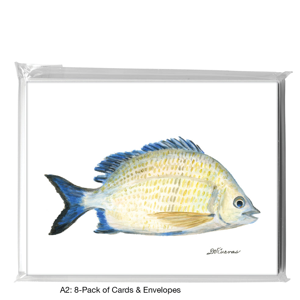 Pikey Bream, Greeting Card (8444)