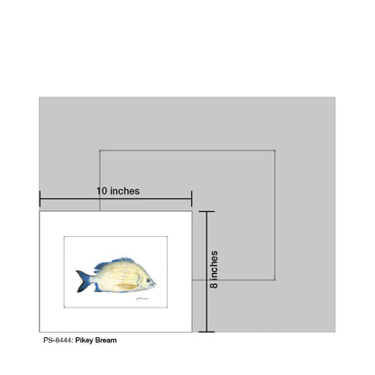 Pikey Bream, Print (#8444)