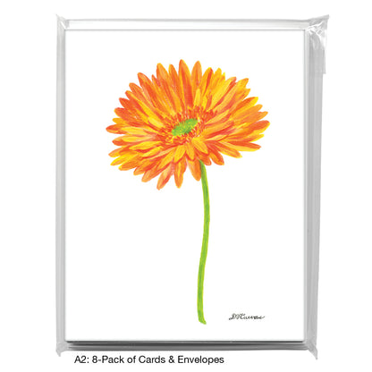 Orange Shades Gerber, Greeting Card (8451)