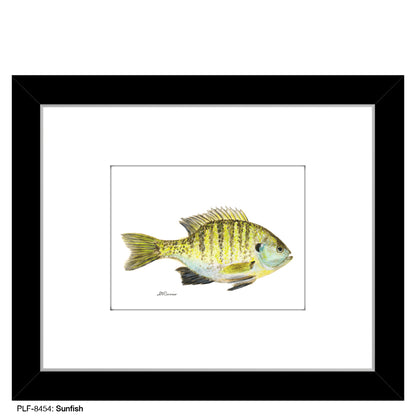 Sunfish, Print (#8454)