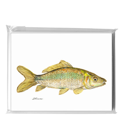 Carp, Greeting Card (8455)