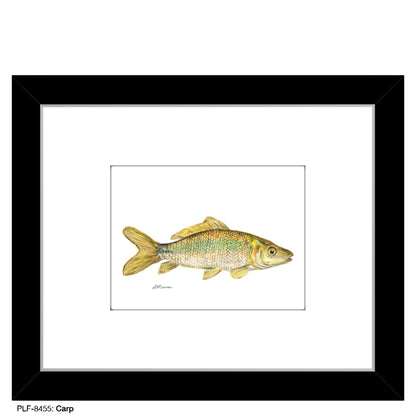 Carp, Print (#8455)