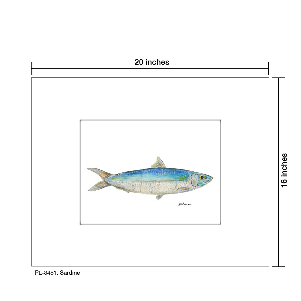 Sardine, Print (#8481)