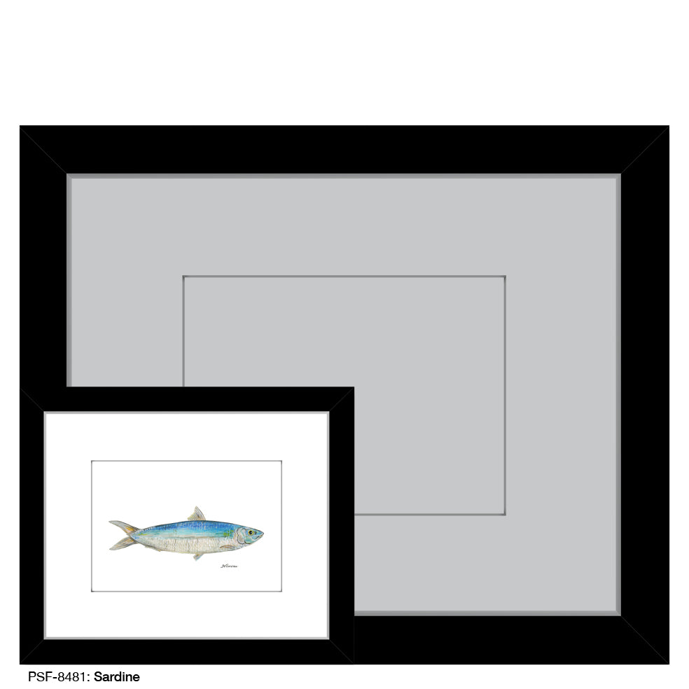 Sardine, Print (#8481)