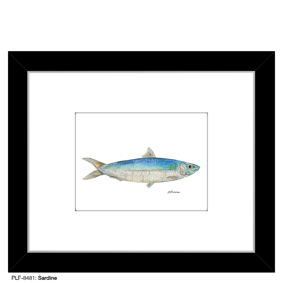 Sardine, Print (#8481)