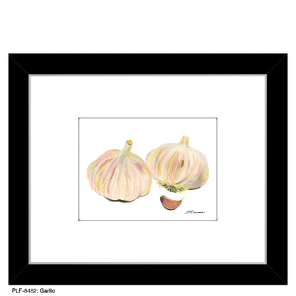 Garlic, Print (#8482)