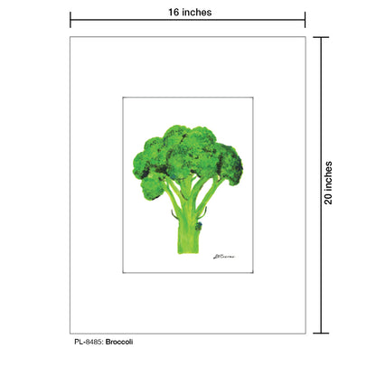 Broccoli, Print (#8485)