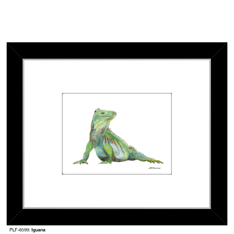 Iguana, Print (#8599)