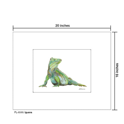 Iguana, Print (#8599)