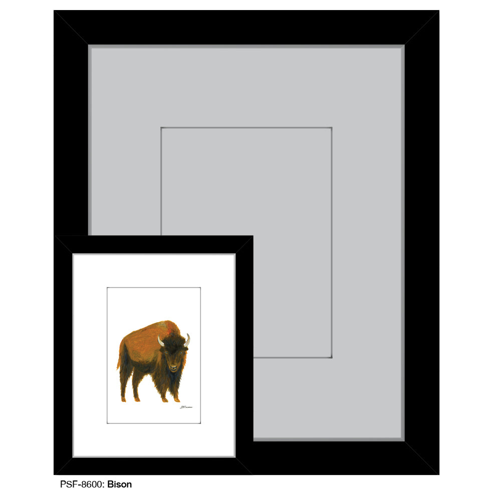 Bison, Print (#8600)