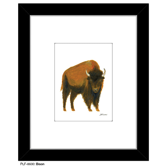 Bison, Print (#8600)