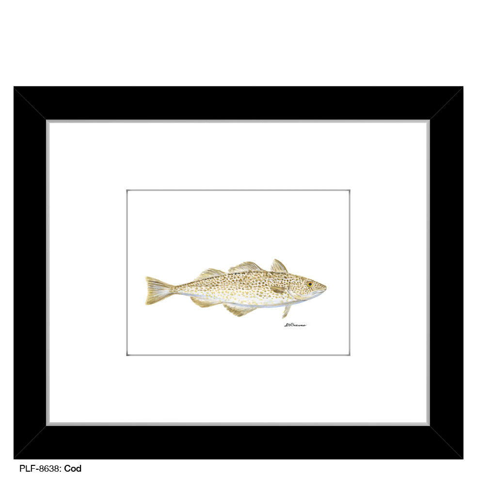 Cod, Print (#8638)