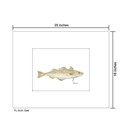 Cod, Print (#8638)