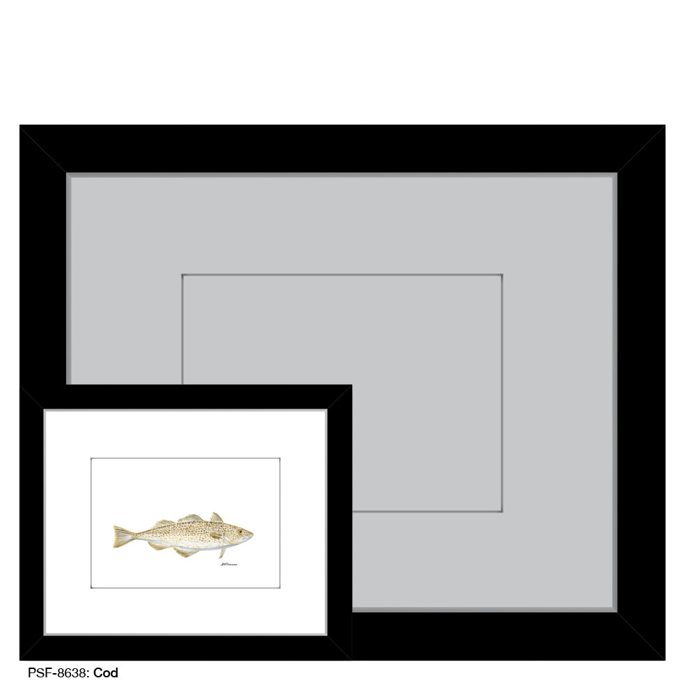 Cod, Print (#8638)