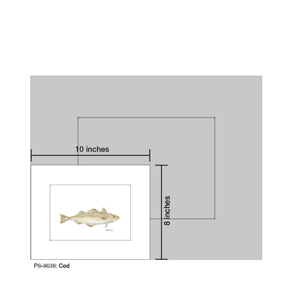 Cod, Print (#8638)