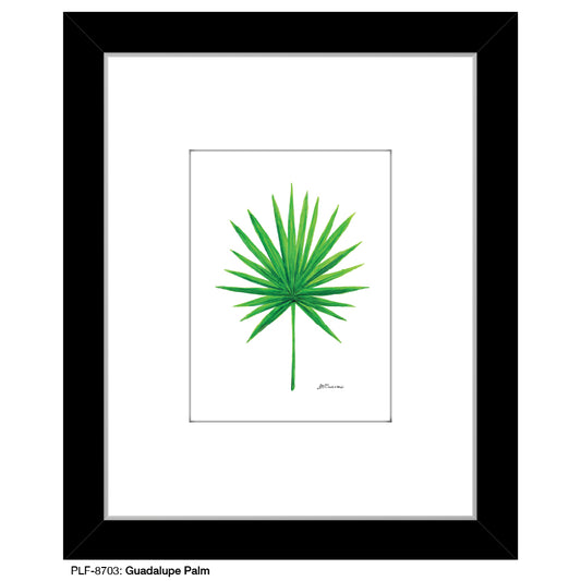 Guadalupe Palm, Print (#8703)