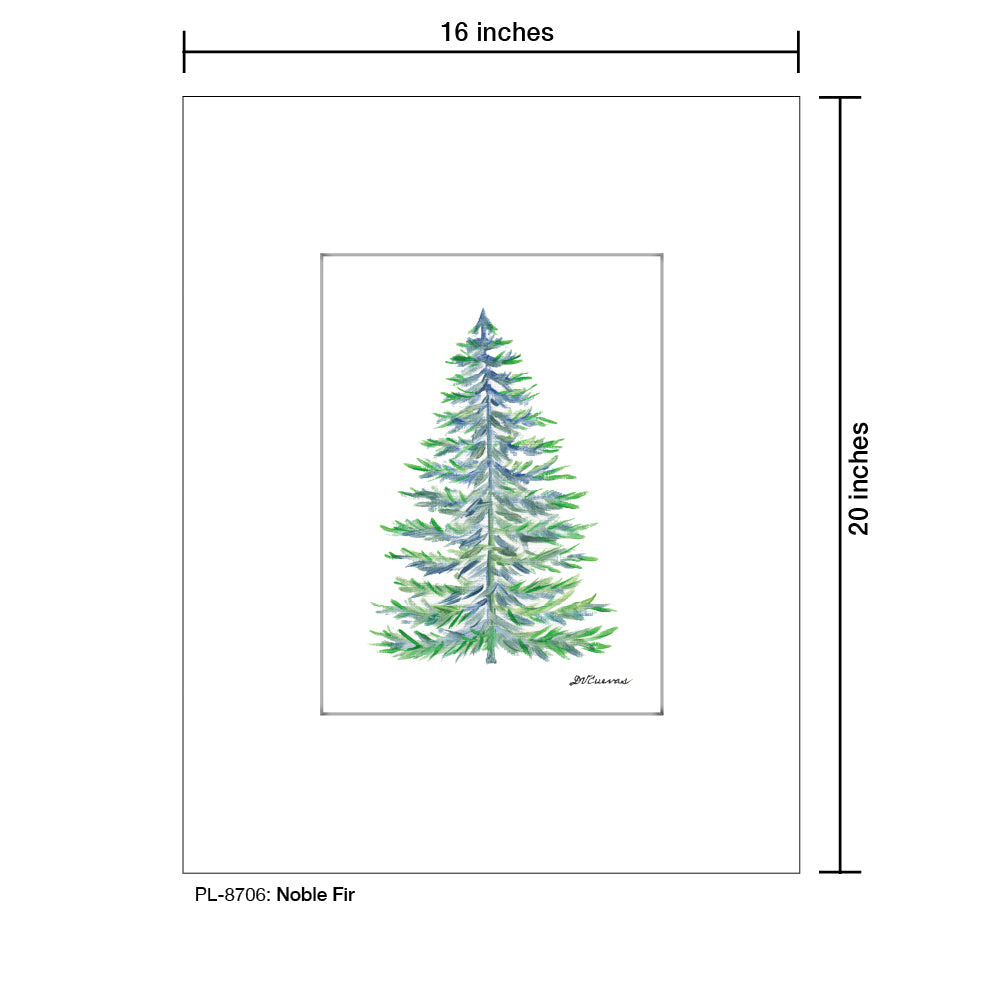 Noble Fir, Print (#8706)