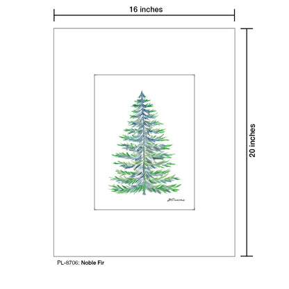 Noble Fir, Print (#8706)