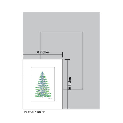 Noble Fir, Print (#8706)