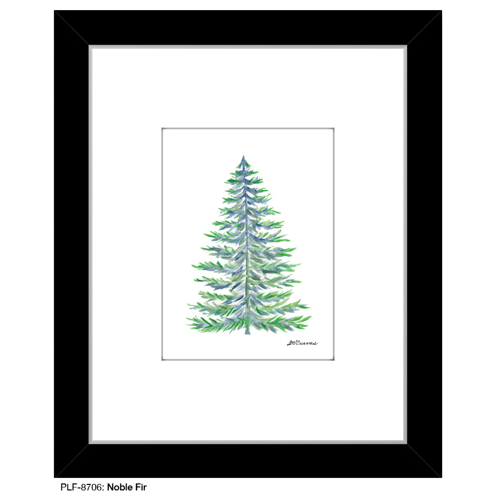 Noble Fir, Print (#8706)