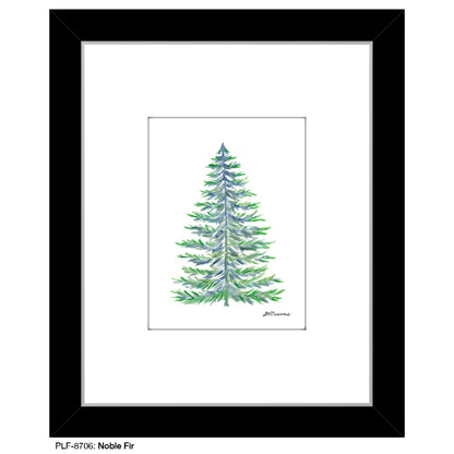 Noble Fir, Print (#8706)