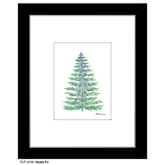 Noble Fir, Print (#8706)