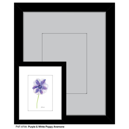 Purple & White Poppy Anemone, Print (#8708)