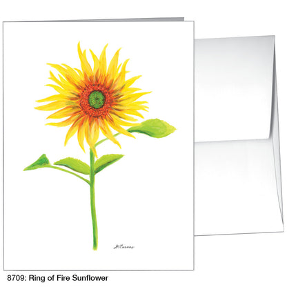 Ring of Fire Sunflower, Greeting Card (8709)