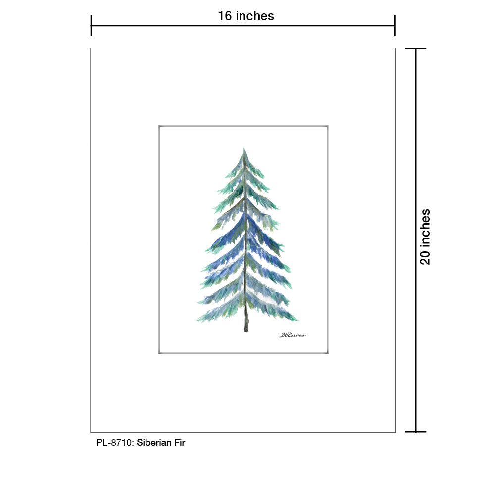 Siberian Fir, Print (#8710)