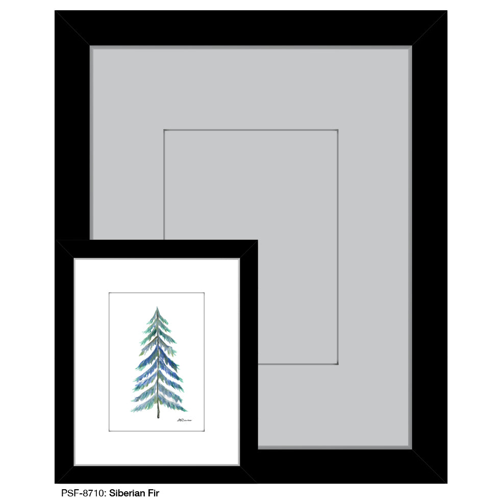 Siberian Fir, Print (#8710)