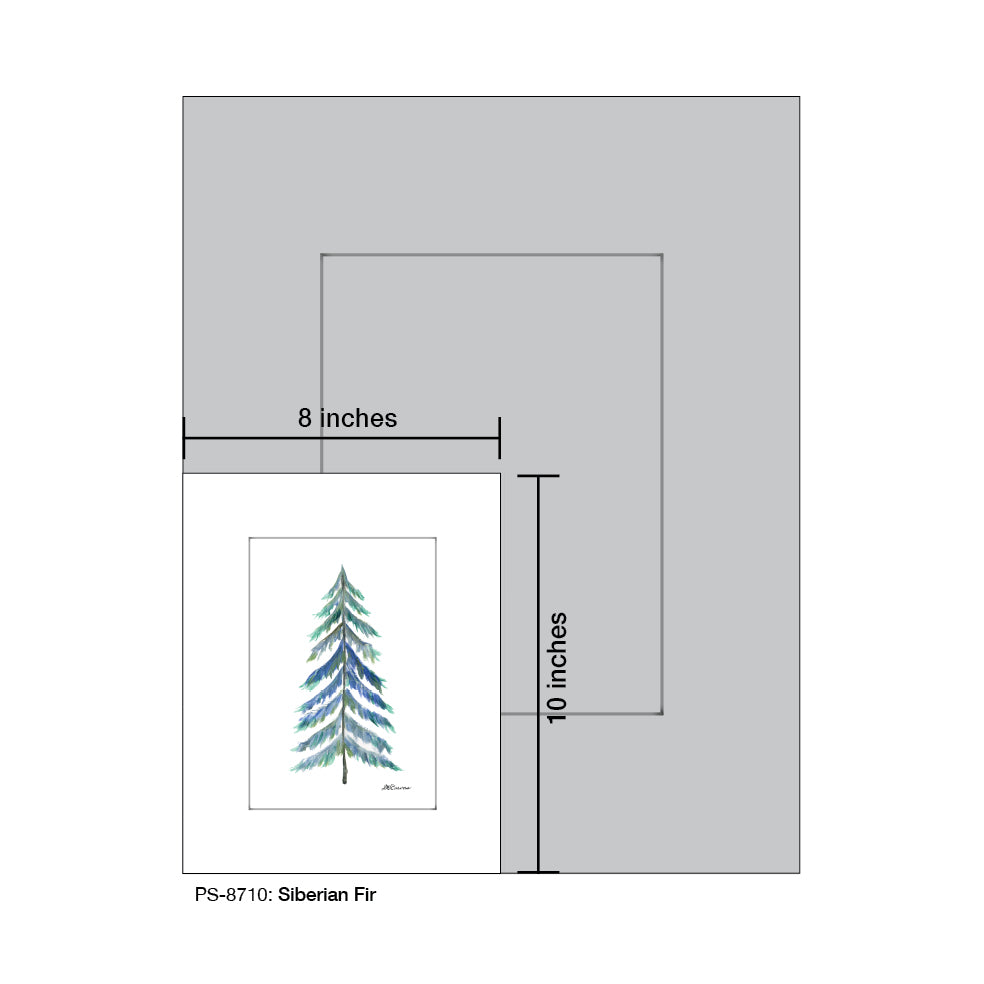 Siberian Fir, Print (#8710)