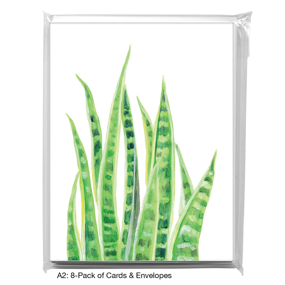 Snake Plant, Greeting Card (8711)