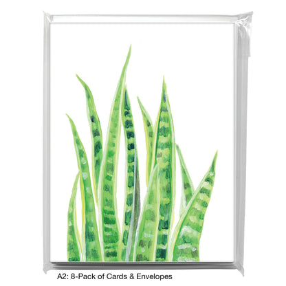 Snake Plant, Greeting Card (8711)